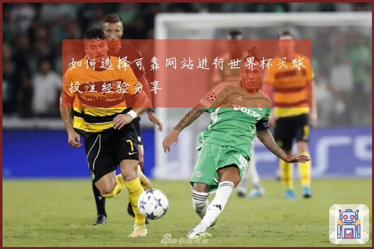 如何选择可靠网站进行世界杯买球投注经验分享