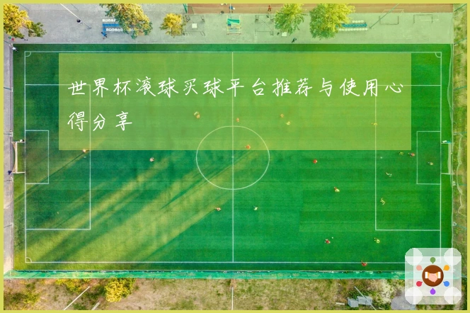 世界杯滚球买球平台推荐与使用心得分享