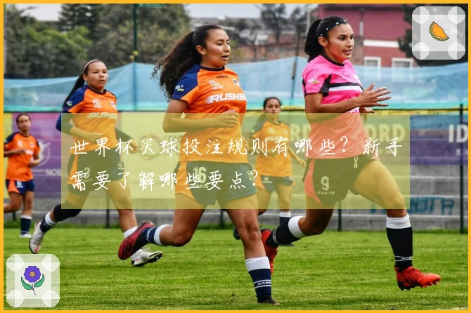 世界杯买球投注规则有哪些？新手需要了解哪些要点？