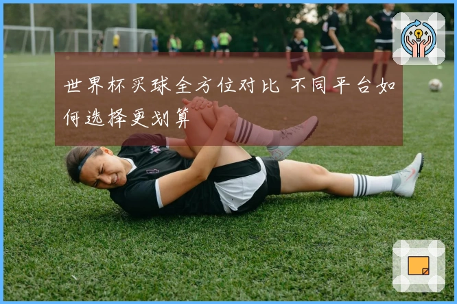 世界杯买球全方位对比 不同平台如何选择更划算