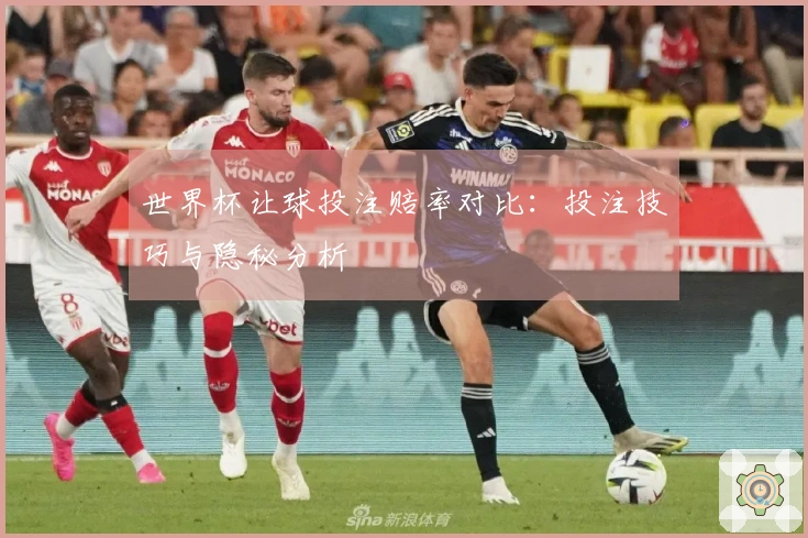 世界杯让球投注赔率对比：投注技巧与隐秘分析