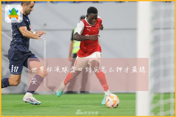 世界杯滚球盘口到底怎么押才最稳妥